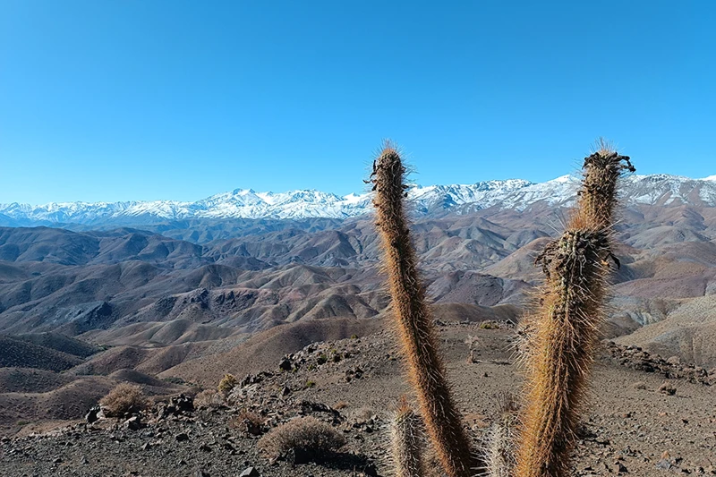 Le Meilleur Site Astronomique du Chili - Observatoire à toit roulant sur le site de Deep Sky Chile